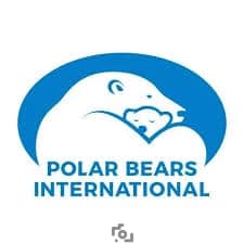Polar Bears International Polar Bears International