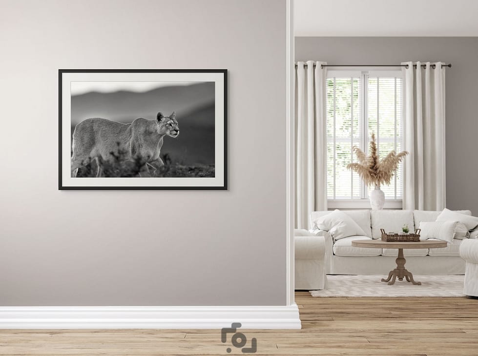 wild encounter medium